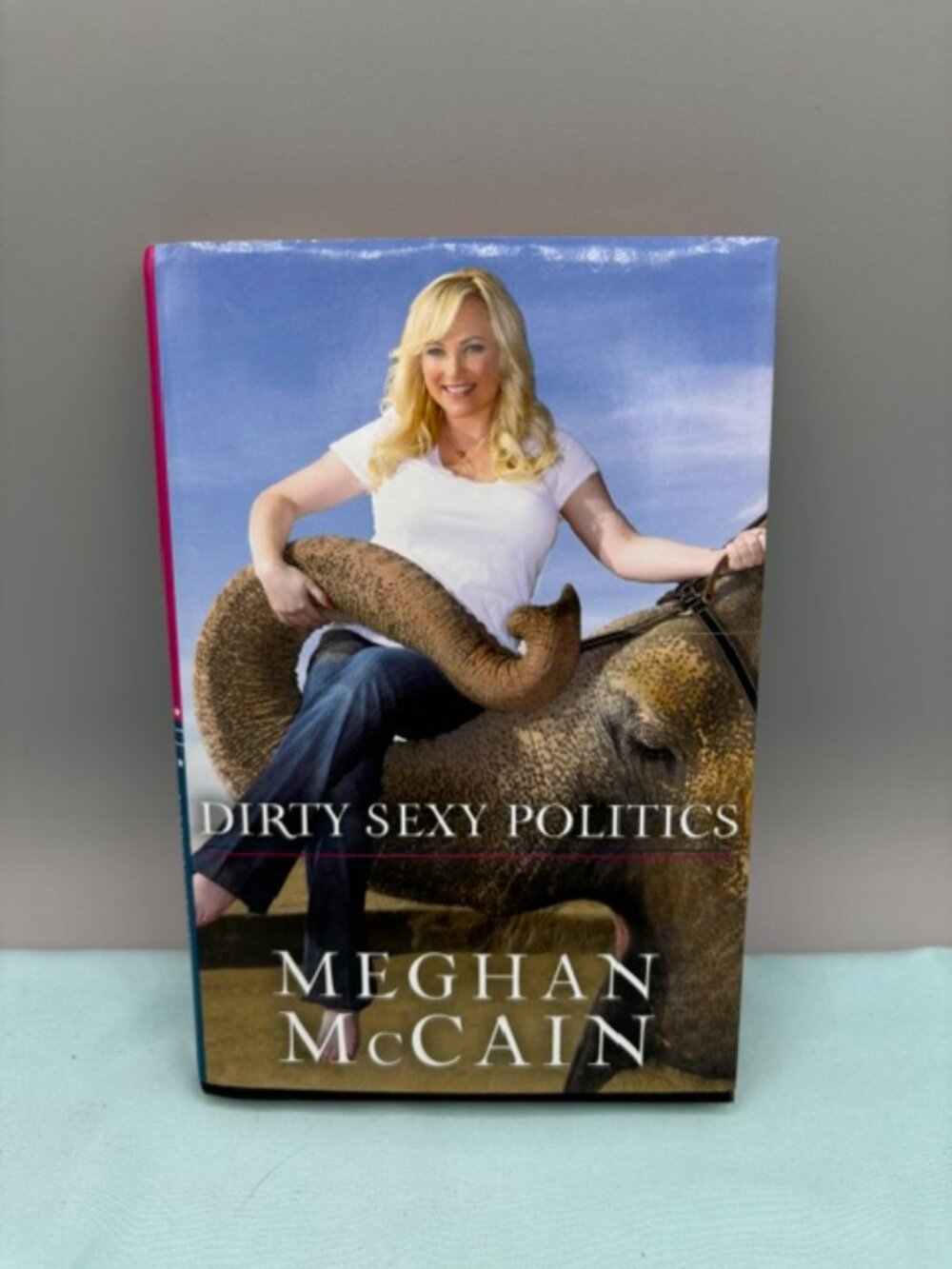 Meghan McCain: Dirty Sexy Politics 2010 First Edition Hardcover
